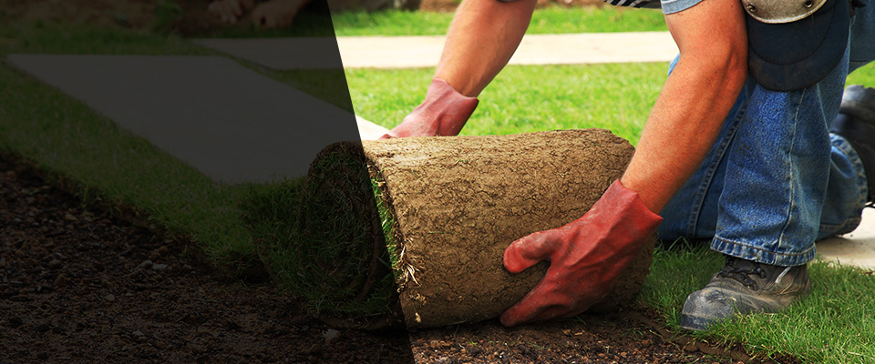 Reedsburg Landscapers